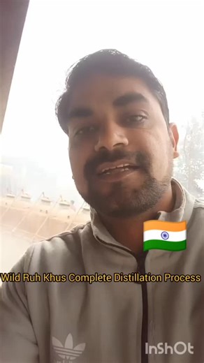 Hasayan Perfumers on Instagram: "Ruh Khus (literally "Soul of Vetiver") is the pure essential oil extracted from the roots of the wild North Indian Vetiver grass (Vetiveria zizanioides).Wild Roots True Ruh Khus is distilled from wild-harvested vetiver roots found in Northern India (often growing near riverbanks).The vetiver roots are meticulously cleaned, chopped, and soaked in water to soften the fibers and release the oil sacs. The roots and water are loaded into the copper Deg. The rim is sea