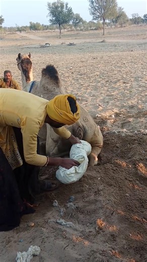 ضربةٌ من الصمت