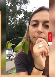 37K views · 167 reactions | Safari adventure 藍 | New York Yankees Fans Page | Facebook