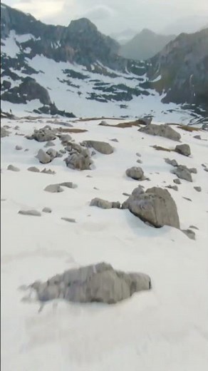 Freerider Fpv Cliff Dive #dronefootage #fpvdrone #freestyle #mountains #travel #nature #drone