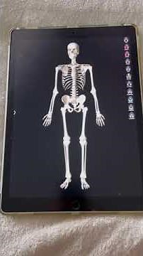 Melhor Aplicativo de Anatomia Humana