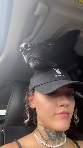 #germanshepherd #dogmom #ppd #psabitesports