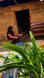 173K views · 4.9K reactions | Tejiendo historia en un telar de cintura ❤️ | Marty y Delmy | Facebook