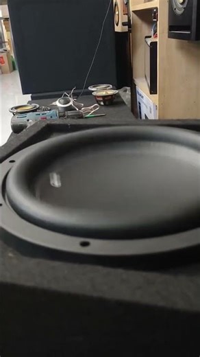 12 in custom box bass