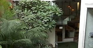 How Developers Are Going Green In NCR