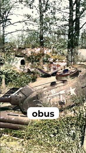 Comment le canon d’assaut d’infanterie 33B a révolutionné les tactiques d’assaut urbain