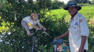 7.2M views · 83K reactions | Good Boy Jason Burst Grandpa Into Laugh When Want To Swim With Villagers | Monkey Jason | Facebook