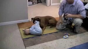 110K views · 459 reactions | Sweetest pals ever! <3 | Rumble | Facebook