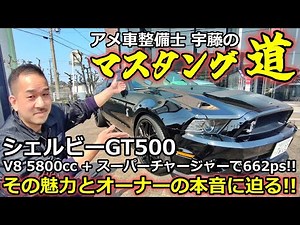 アメ車 シェルビーGT500 662馬力のV8エンジンが危ない魅力を放つ！オーナーの本音とは？【ウイングオート】