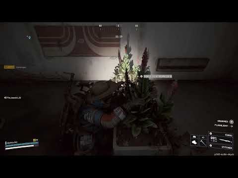 Stella Montis Free Kits Live Stream