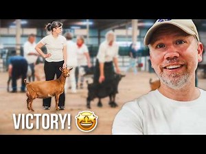 Our Goat Won EVERYTHING at the Goat Show 😍