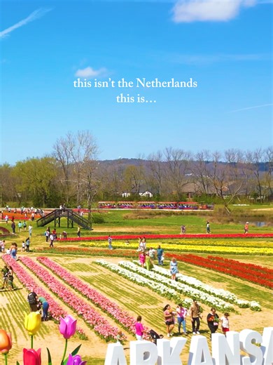 Explore the Tulip Festival at Rivercrest Orchard