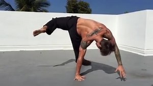 13K views · 204 reactions | Our entire message at Animal Flow is to inspire other people to MOVE, no matter what program they use to do it. I encourage all of our AF instructors, as well as anyone else out there who has been practicing Animal Flow on their own, to post a video here so we can all see you get your flow on! | Animal Flow | Facebook