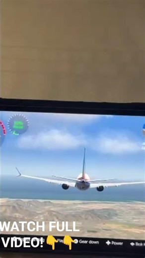 NINTENDO SWITCH FLIGHT SIM! #nintendo #flowers #flightsimulator #plane #airplane #gg #airport #gg #g