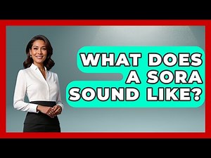 What Does A Sora Sound Like? - Bird Watching Diaries