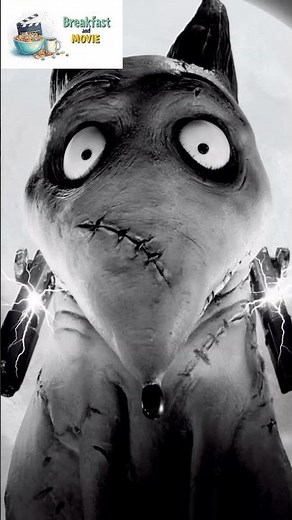 Frankenweenie wants you to cry #movie #film #moviereview