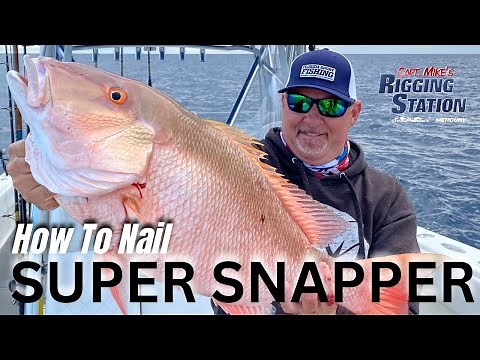 Monster Mutton Snapper Secrets I How to nail super snapper I Mutton Snapper Secrets Live Bait Rigs