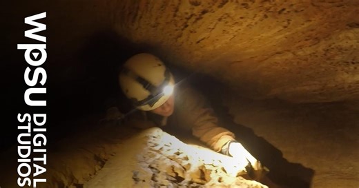 Our Grotto: Exploring a Subterranean World