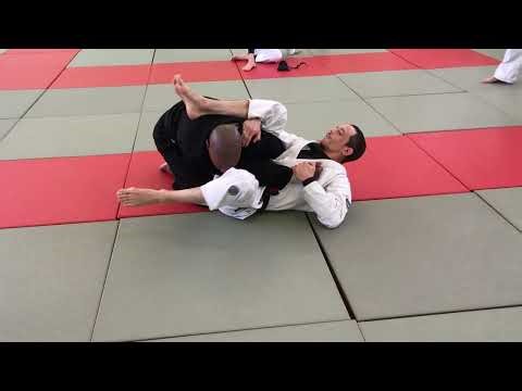 Miscellaneous Entries to Shaun Williams Guard (BJJ)
