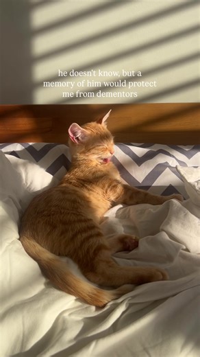 Create a Simple Protection Spell Inspired by Harry Potter