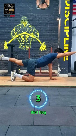 McGill Big 3 Exercises Part-4 | Strong Core
