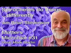 Matters Microbial #31: Spirochetes do things...differently