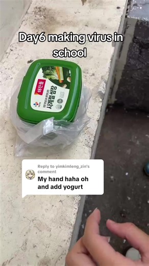 Creative Ideas for School Projects