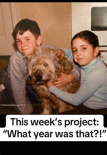 Organizing Family Photos: Big Box of Photos Project 2026