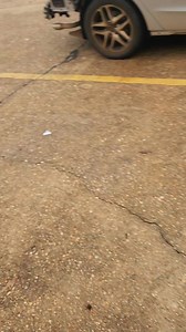 225 reactions · 41 shares | BIG BEAUTIFULOMG NS #8075 leading CPKC LOUISIANA USA  #RAILFANNATION #FREIGHT #RAILFANS_OF_INSTAGRAM #RAILWAYS_OF_OUR_WORLD #TRAIN #SPOTTING #railfannation #freight #fyp #CPKC #engine #viral #railroadlife #trains #usa #train | Erica Davis Henderson | Facebook