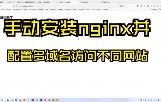 手动安装nginx并 配置多域名访问不同网站