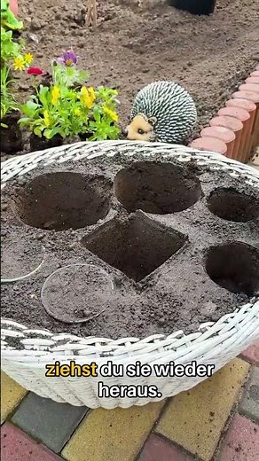 Repot plants cleanly
