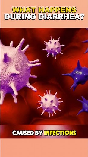 What Happens During Diarrhea?(3D Animation)/explained in 60 seconds #facts #diarrhea #3d