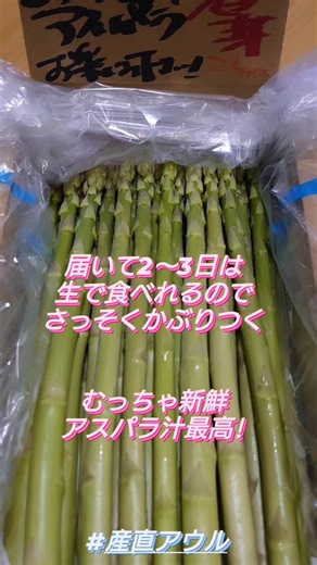 香川県のおおのやで絶品アスパラガス体験