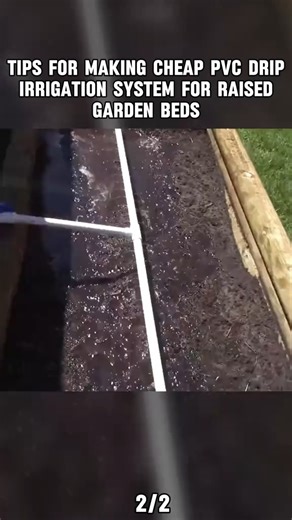 Jessica Craven on Reels