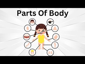 Explore Body Parts: Fun Learning with Images for Kids | Educational Video