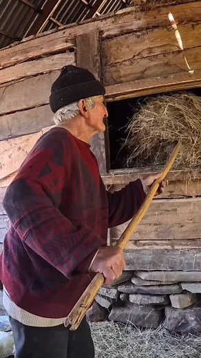 Nu e doar un taur, e mândria gospodăriei! 🌾 👉 Câți dintre voi ați mai văzut așa frumusețe de animal? Hovrea Alin #viatalatara #romania #haidainlumeprinlume | Haidainlume