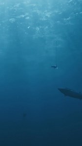 ⚡ Don’t miss the strike of serious game fish! ⚡ The Halco Laser Pro...