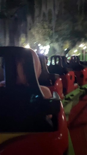 The Misadventures of Team A.J. on Instagram: "One of our favorite things to do at New Orleans City Park CITO inside Carousel Gardens is to Ride the CLASSIC “Lady Bug” family coaster. #riders #coasters #CoasterEnthusiast #CoasterLife #NewOrleans #citypark #fun #family #amusementpark #carouselgardens #celebrationintheoaks #happyholidays2025 #merrychristmas #merrychristmas2025 #holidayseason #Holidays #nola #nolalife"