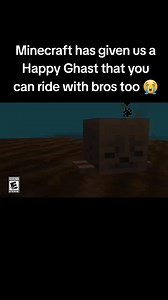 The new Minecraft update is fire 🔥 #memes #gaming #minecraft | Minecraft Daily Videos