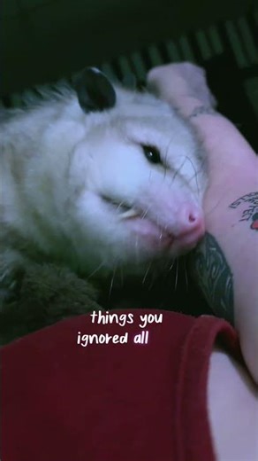 There’s Something About Late Nights… #thoughts #relatable #viral #shorts