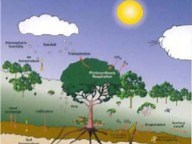 hydrus土壤污染物运移范围预测