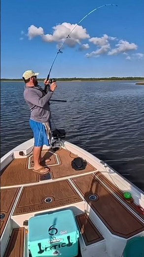 Redfish can’t handle the Ugly Stik Carbon Inshore #uglystik #uglystikrod #fishingrod #inshorefishing