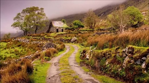 Celtic Woman - Fields Of Gold