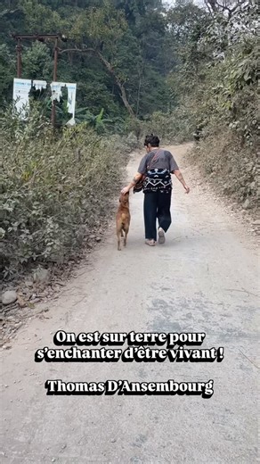 Mathilde Révélatrice du Soi 🦋 Gardienne du Vivant & du Sacré on Instagram: "On est sur terre pour s’enchanter d’être vivant. Cette phrase de Thomas D’Ansembourg qui fait si sens en moi. Un doux rappel de s’enchanter de la beauté de la vie malgré les montagnes russes et les difficultés. • Ce moment en Inde de connexion avec une chienne qui a partagé une balade avec nous. J’étais si enchanté de ce moment. • Et toi tu arrives à t’enchanter de la vie et d’être vivant(e) ?!"