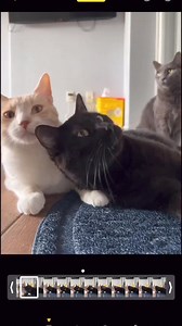 1.4M views · 60K reactions | Pizza pie  | System Of A Down forever | Facebook