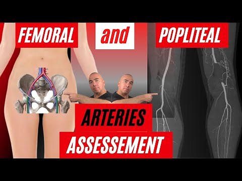 FEMORAL and POPLITEAL Pulses Assessment