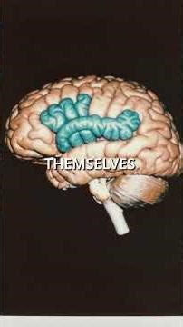 Mind blown 🤯 human echolocation is real #mindblown #science #amazing