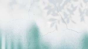 20251024 基本功训练 身韵入门-进阶100