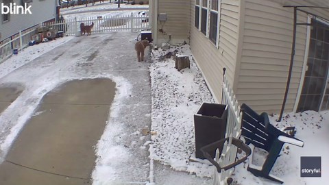 Passing meteor's sonic boom shakes Ohio home