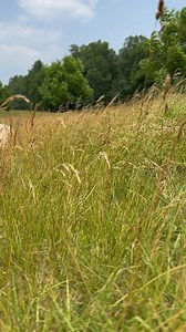 🌸 Spring PSA: Take a Breath. Enjoy the Moment. 🌸 As spring unfolds, take a moment to pause. Feel the warmth of the sun on your skin, hear the birds sing their morning songs, and notice the vibrant colors bursting from the earth. This season is nature’s way of reminding us to slow down, breathe deeply, and reconnect with the beauty that surrounds us. Whether it’s a walk through the park, a quiet moment in your garden, or simply opening your window to let the fresh air in—take time to soak it in